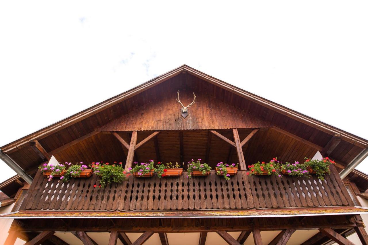 Pensiunea Sachsenhof Bagaciu Exteriör bild